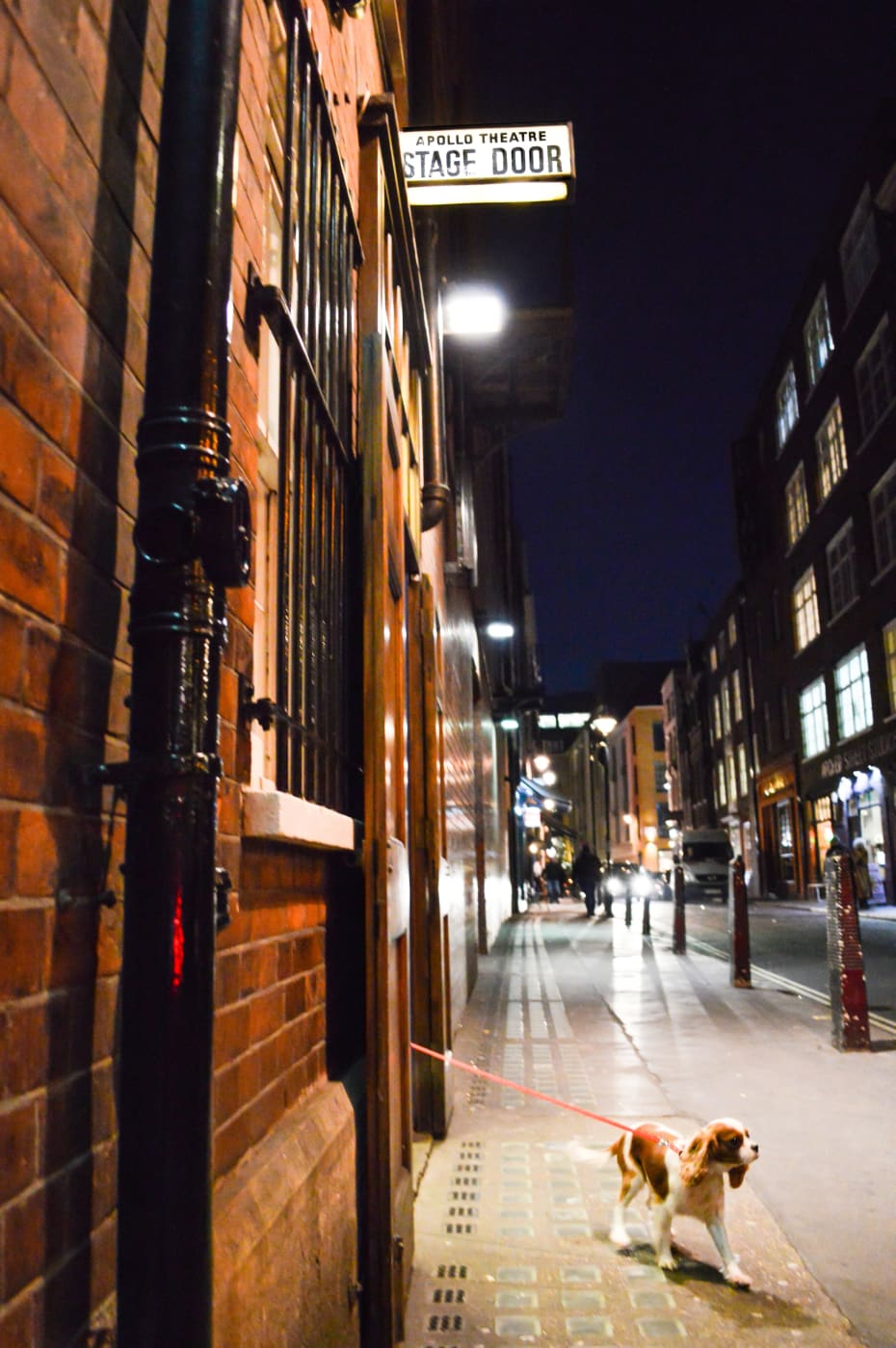 Nell Gywnn's Milly Nell Gywnn's Milly