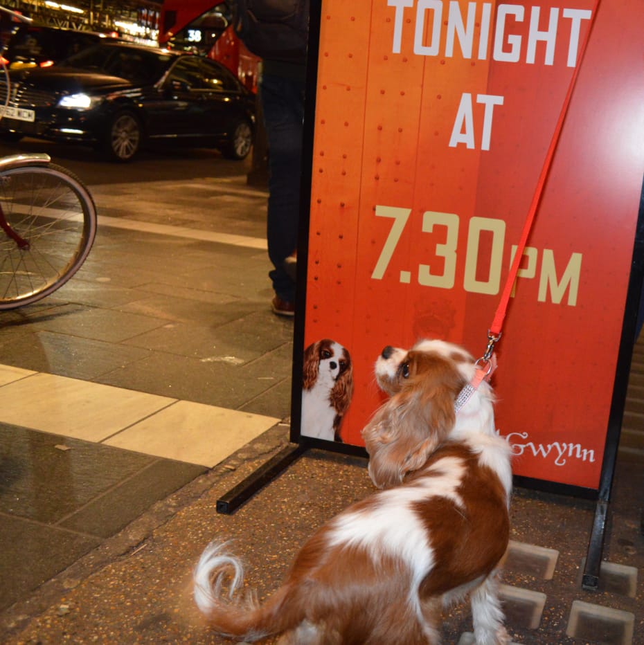 Nell Gywnn's Milly Nell Gywnn's Milly