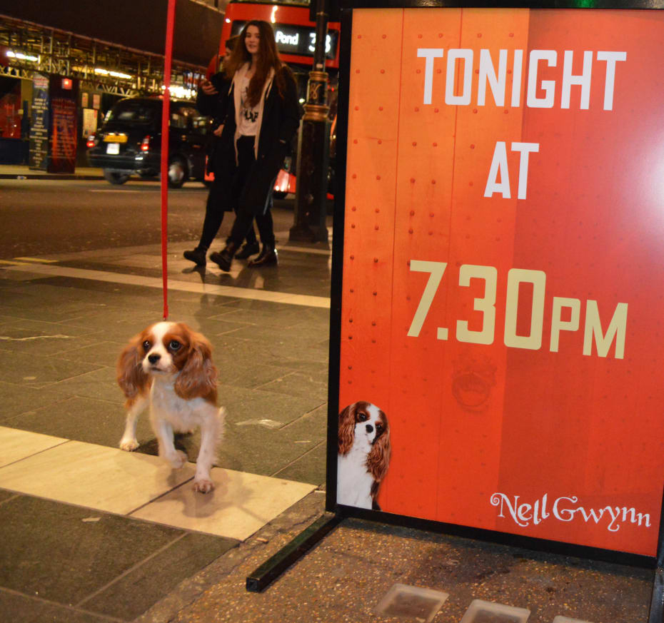 Nell Gywnn's Milly Nell Gywnn's Milly