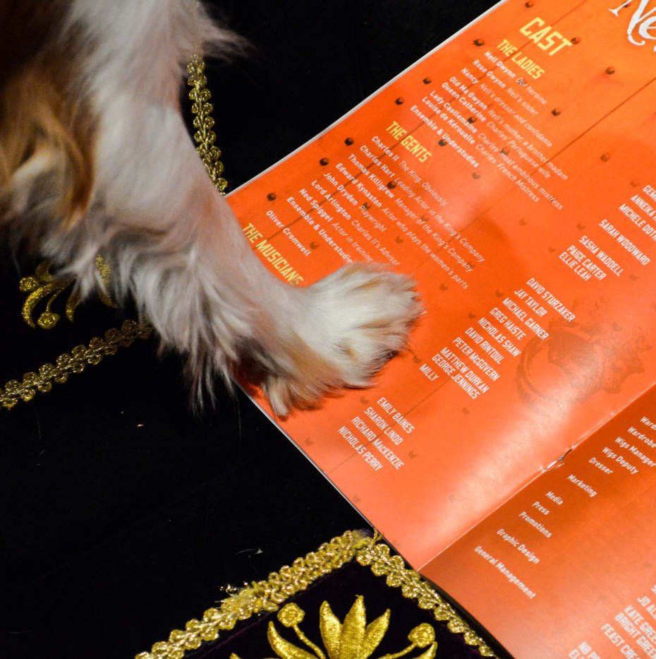 Nell Gywnn's Milly Nell Gywnn's Milly