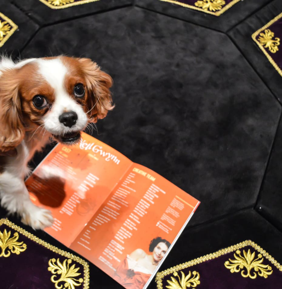 Nell Gywnn's Milly Nell Gywnn's Milly