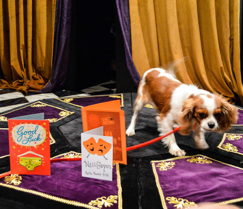 Nell Gywnn's Milly Nell Gywnn's Milly