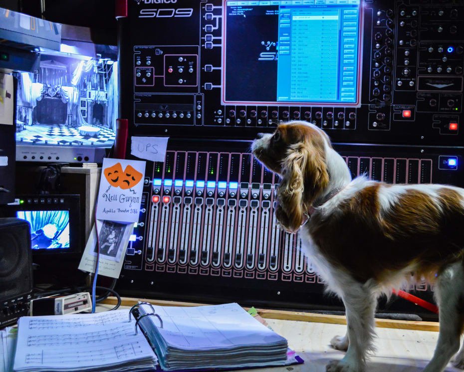 Nell Gywnn's Milly Nell Gywnn's Milly