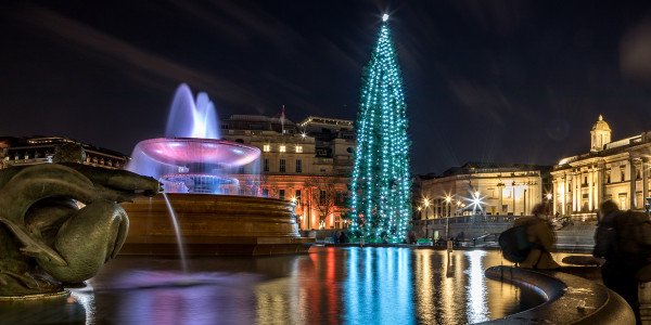 Trafalgar square at Christmas. Photo by Christine Matthews.