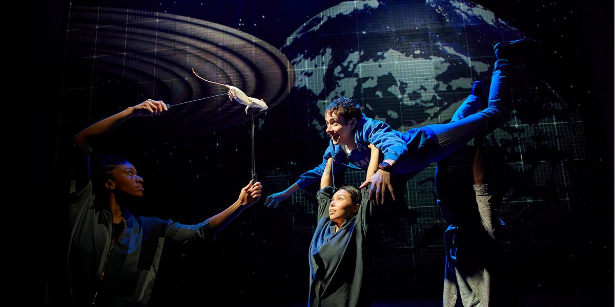 The Curious Incident Of The Dog In The Night-Time