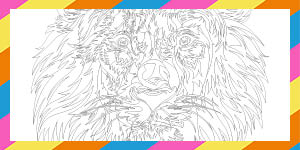 A vibrant colouring page featuring intricate designs, with various colours filled in, displayed on a table.